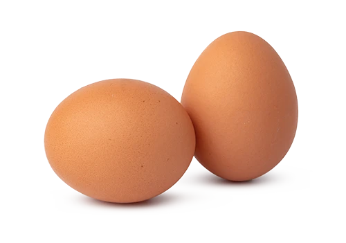 Best Poultry Technology | Eggs
