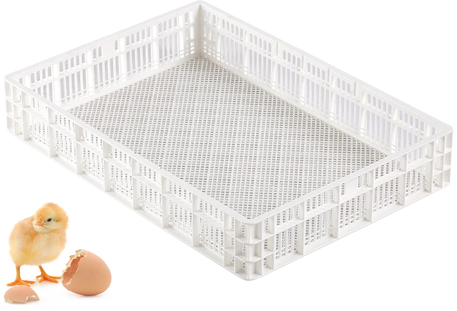 Hatcher Basket | Best Poultry Technology