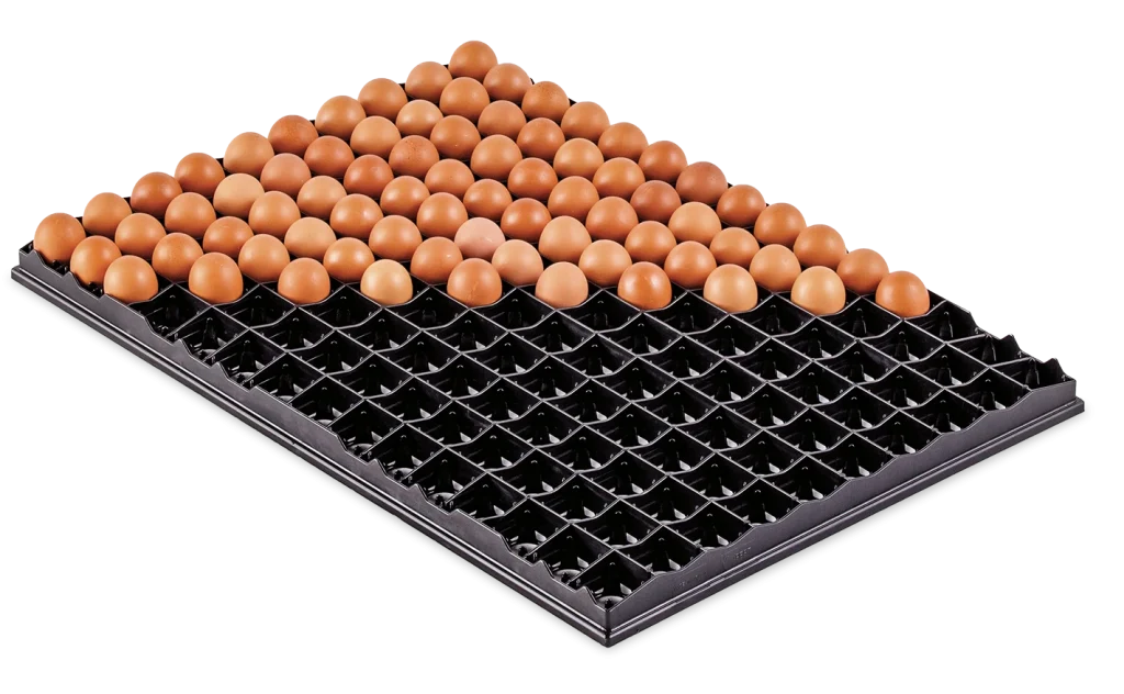 Setter Trays