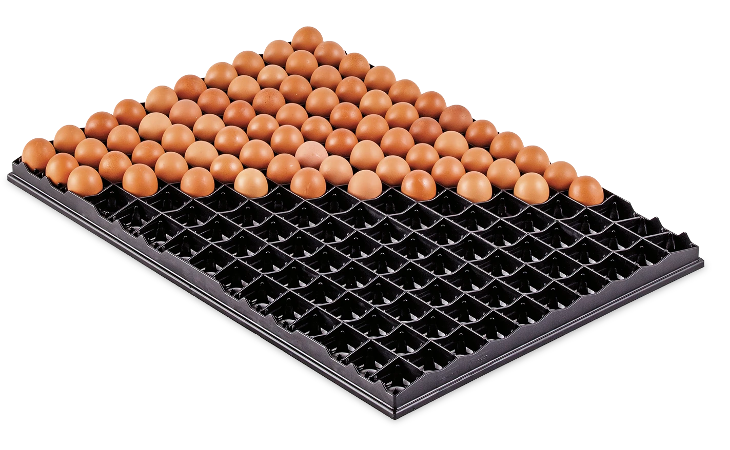 Setter Trays