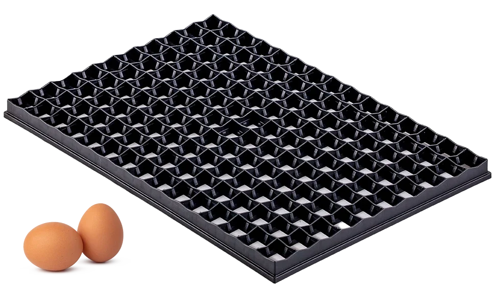 Setter Tray | Best Poultry Technology