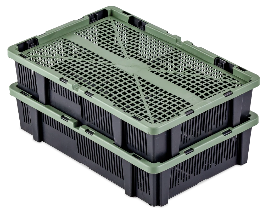 Chick Transport System | Best Poultry Technology