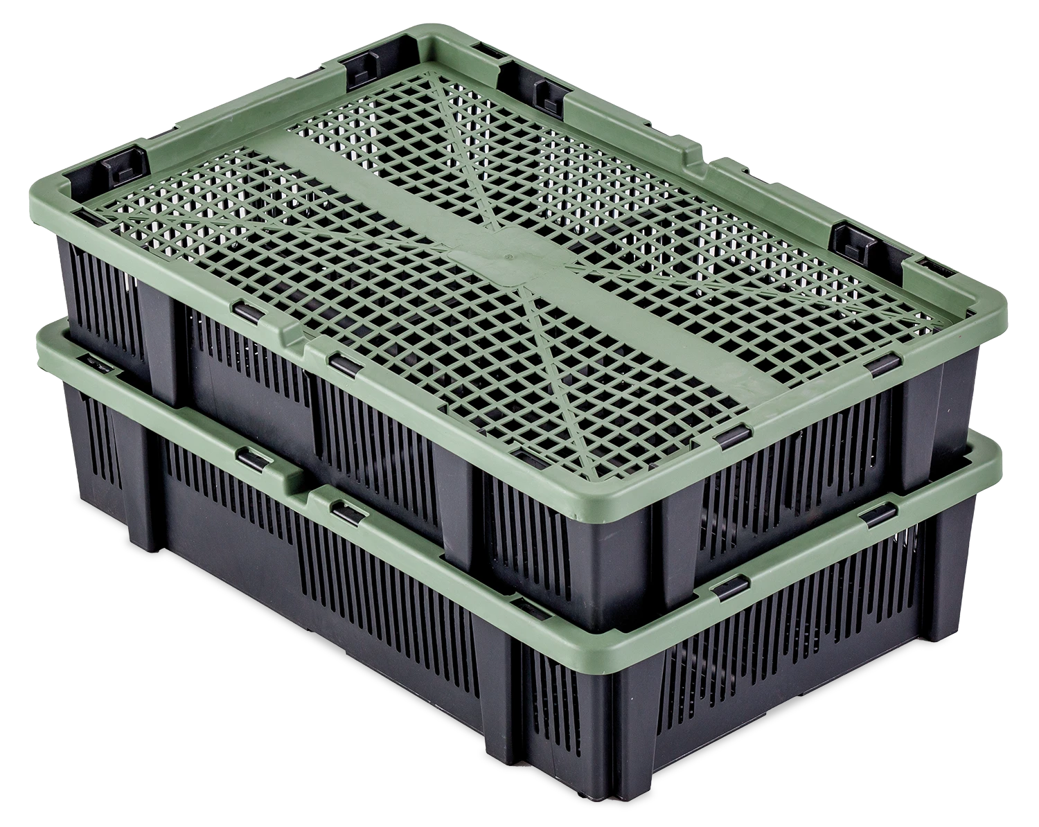 Chick Transport System | Best Poultry Technology