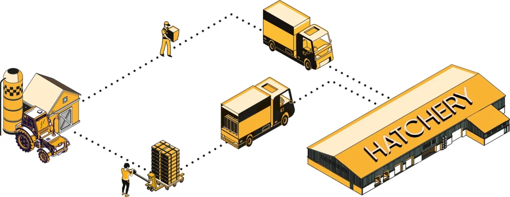 From farm to Hatchery