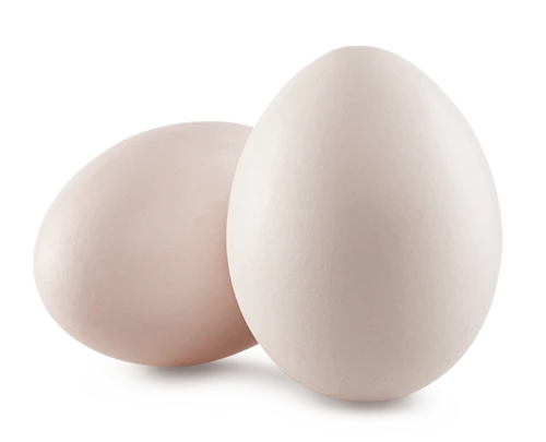 Eggs | Best Poultry Technology