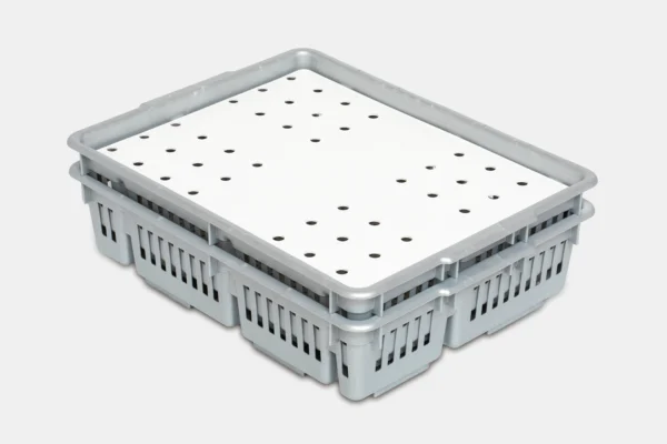 Caja transporte pollitos | Best Poultry Technology