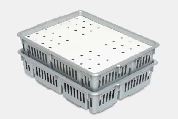 Caja transporte pollitos | Best Poultry Technology