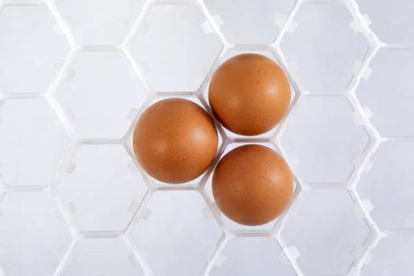 Bandeja de incubadora | Best Poultry Technology
