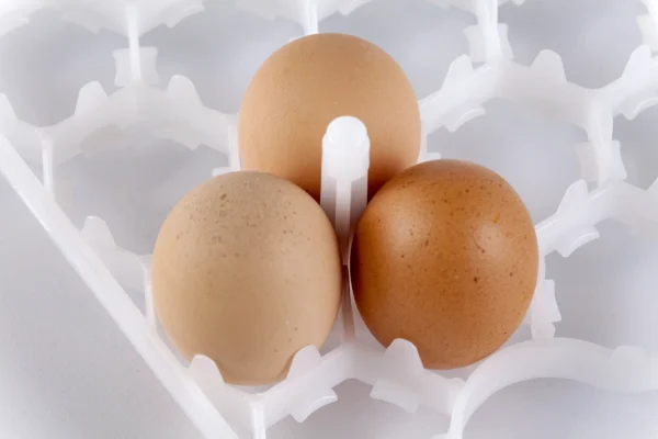 Setter Tray | Best Poultry Technology