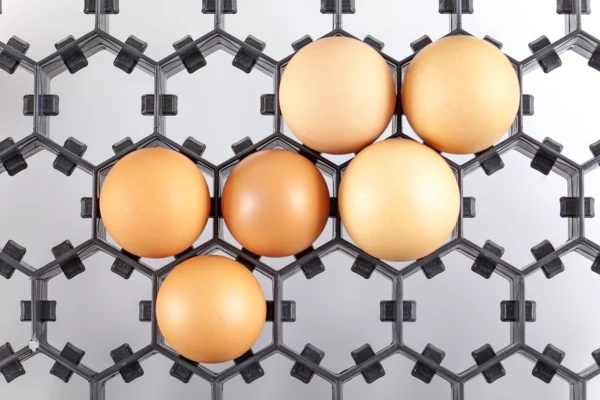 Setter Tray | Best Poultry Technology