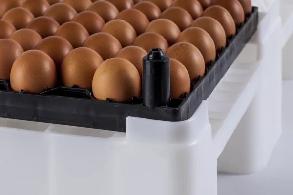 Setter Tray | Best Poultry Technology
