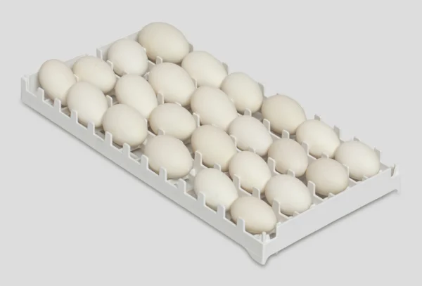 Bandeja de incubadora | Best Poultry Technology