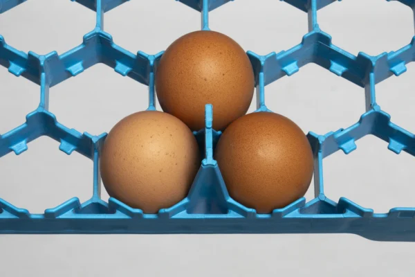 Setter Trays | Best Poultry Technology