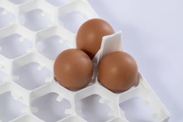 Setter Trays | Best Poultry Technology