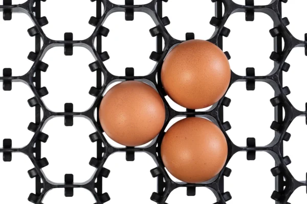 Bandeja de incubadora | Best Poultry Technology