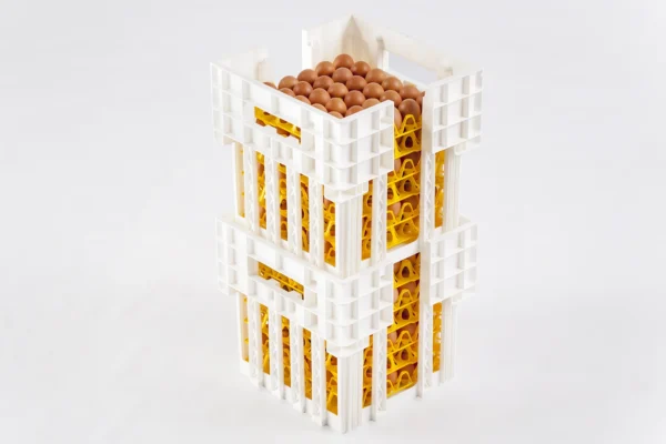 Egg Transport System | Best Poultry Technology