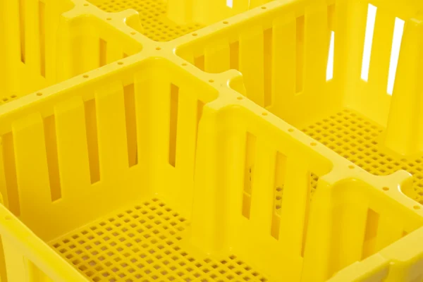 Chick Box | Best Poultry Technology