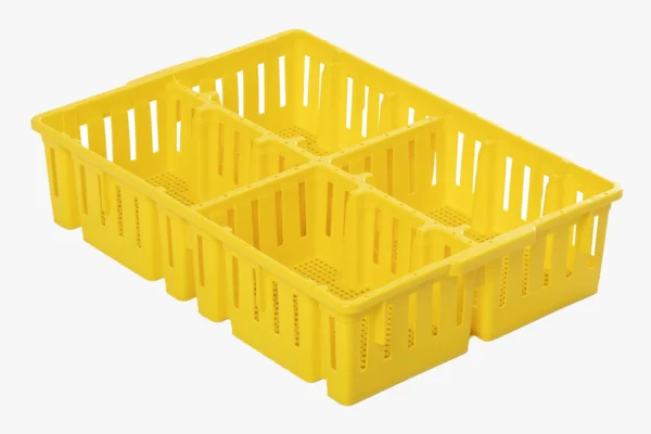 Chick Box | Best Poultry Technology