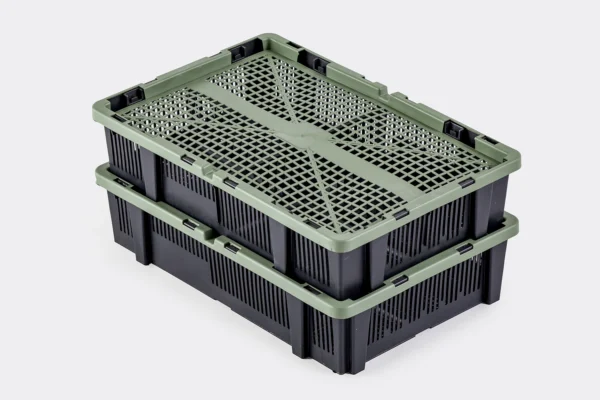 Caja de transporte para pollitos | Best Poultry Technology