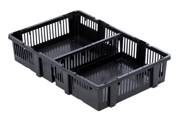 Chick Delivery Box | Best Poultry Technology