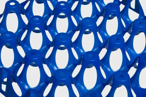 Egg Transport Systems | Best Poultry Technology