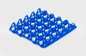 Egg Transport Systems | Best Poultry Technology