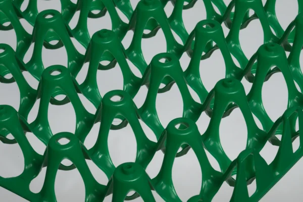 Egg Transport Systems | Best Poultry Technology