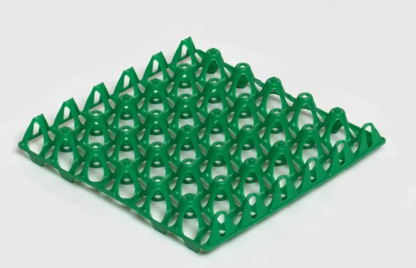 Egg Transport Systems | Best Poultry Technology