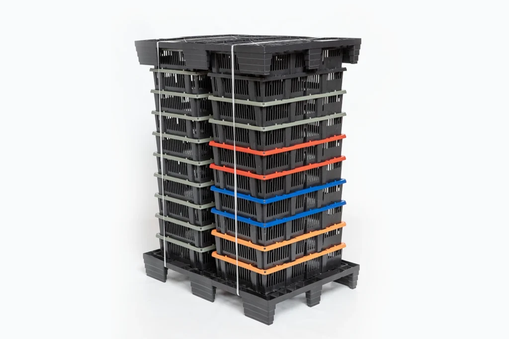 Sistemas de transporte de pollitos | best poultry technology