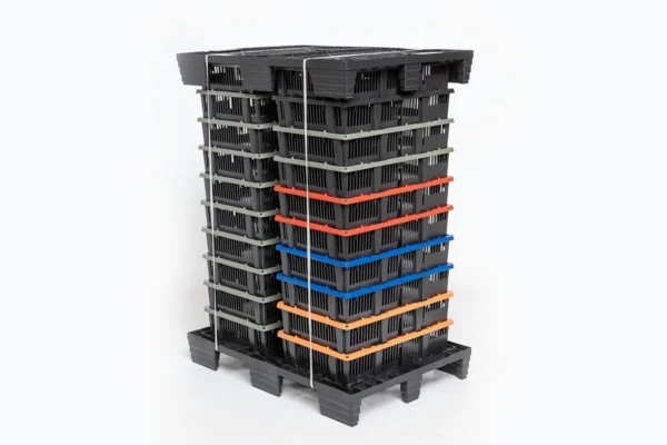 Chick Transport Systems | Best Poultry Technology