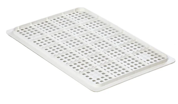 Caja transporte pollitos | Best Poultry Technology