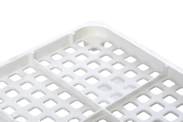 Caja transporte pollitos | Best Poultry Technology
