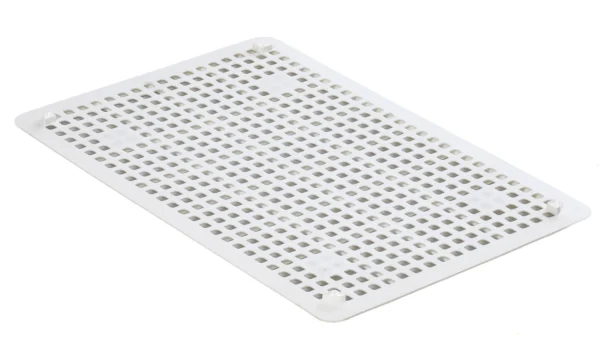 Caja transporte pollitos | Best Poultry Technology