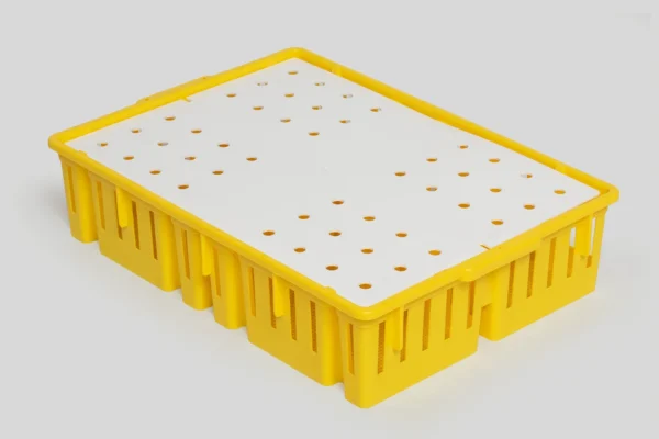 Caja transporte pollitos | Best Poultry Technology