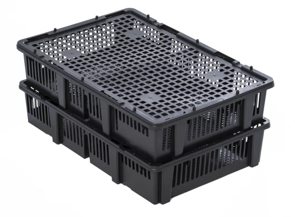 Caja transporte pollitos | Best Poultry Technology