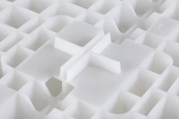 Egg Transport Systems | Best Poultry Technology