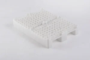 Egg Transport Systems | Best Poultry Technology