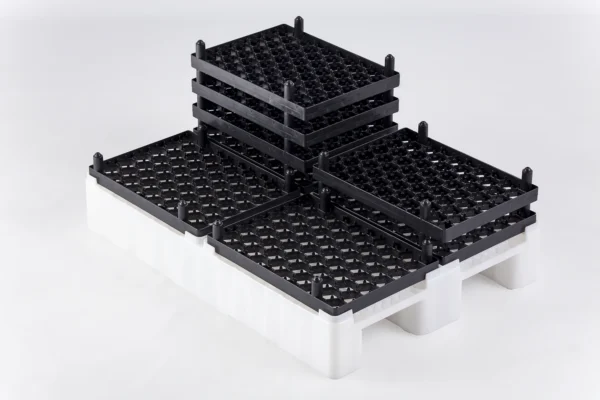 Egg Transport Systems | Best Poultry Technology