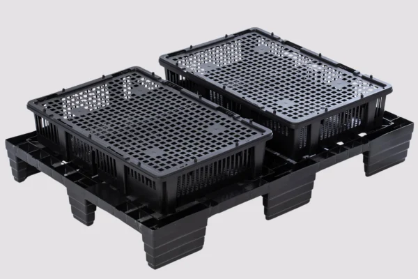 Chick Transport Systems | Best Poultry Technology