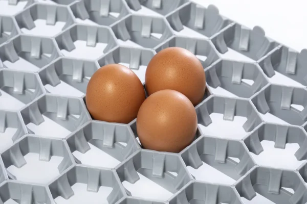 Setter Tray | Best Poultry Technology