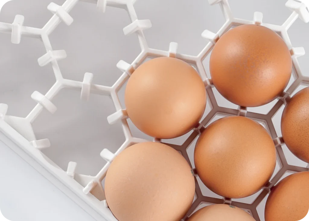 Setter Tray | Best Poultry Technology